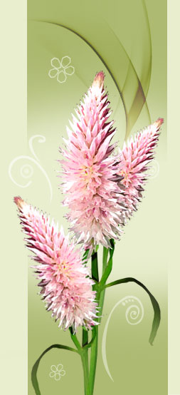 flor