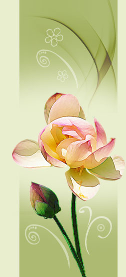flor