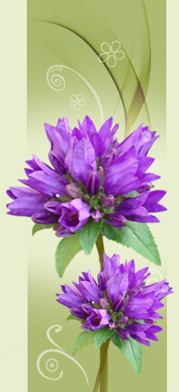 flor