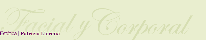logo Patricia Llerena